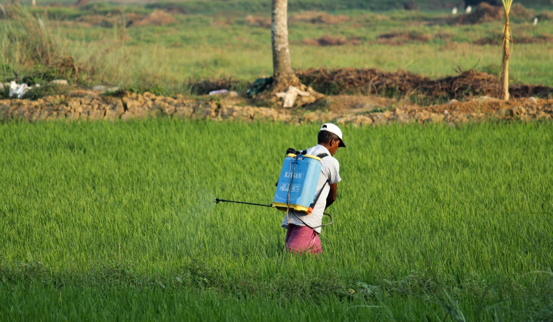 pesticides-industry